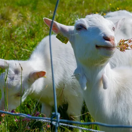 Ideal Base For Exploring 2 Bedrooms & Balcony Beitostolen